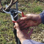 FELCO 13 Ножици за кроење Професионални - Image 2