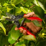 FELCO 5 Ножици за кроење Професионални - Image 2