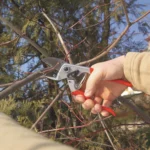 FELCO 31 Ножици за кроење Професионални - Image 5